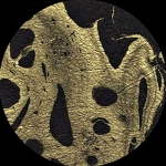 Thailand Marbled Momi Black Gold
